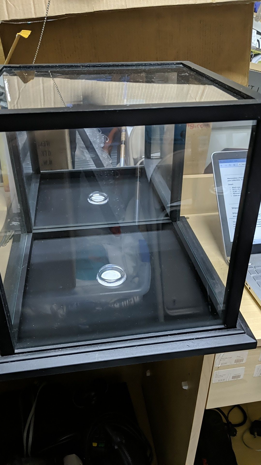 Full size basketball display case