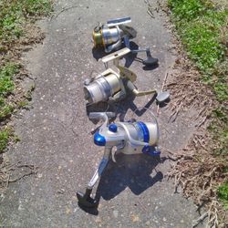 Fishing Reels 