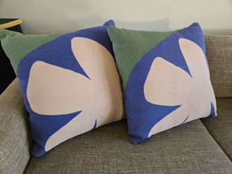 Pillows. West Elm. Indoor outdoor