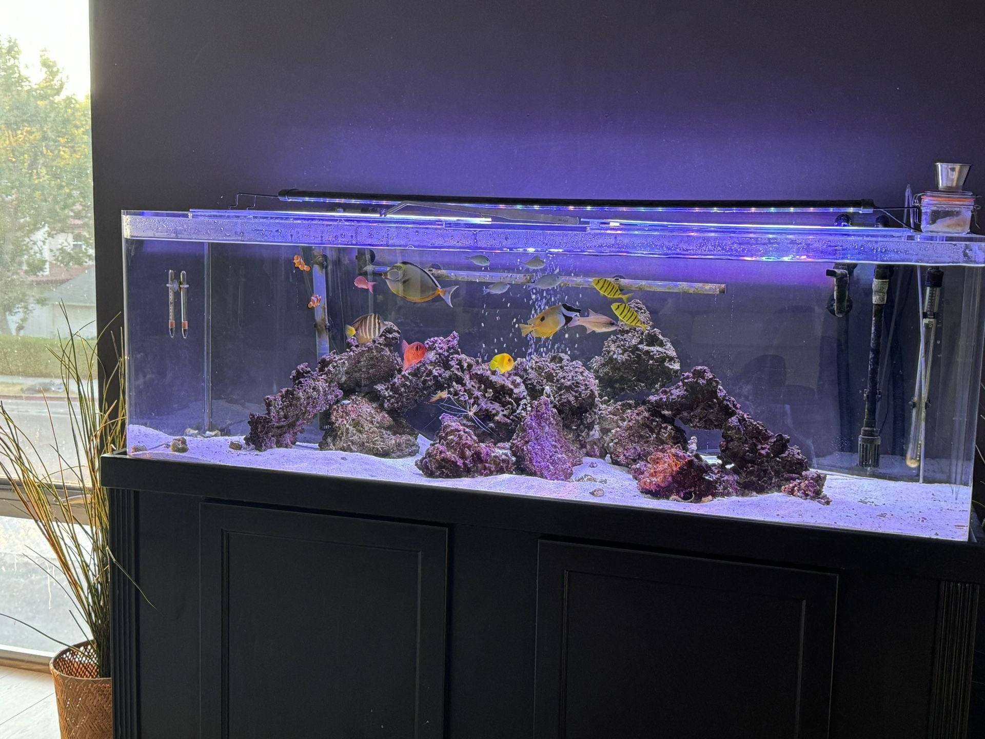 100 Gallon Fish Tank With Stand