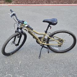 Diamondback Octane Mountain Bike