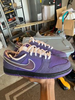 Purple lobsters