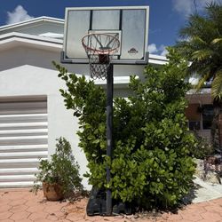 Basketball Hoop