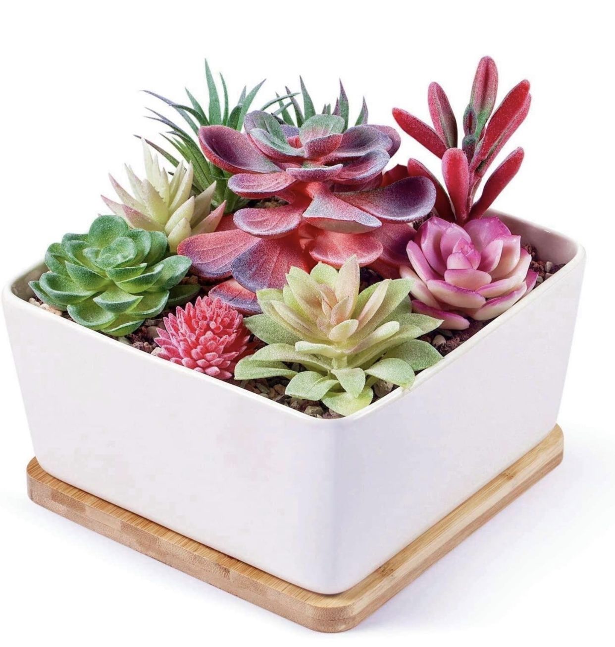 7 inch Square Ceramic White Large Succulent planters Indoor Succulents Pots with Drainage Bamboo Trays