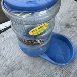Pet Feeder 