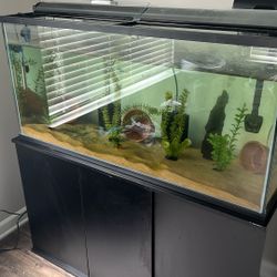 75 Gallon Tank and Stand 