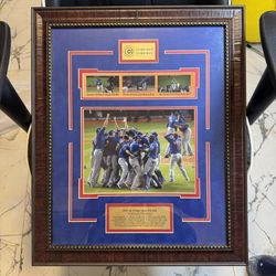 Chicago Cubs Unsigned 2016 World Series Celebration Photo