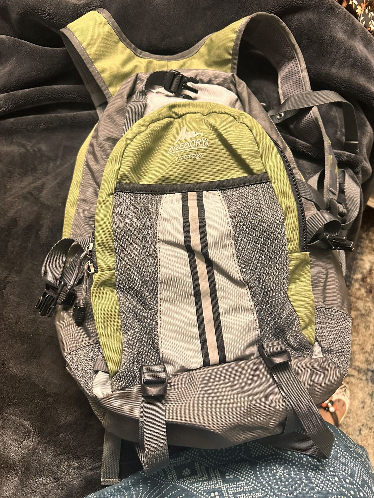 GREGORI Treate bagback Like New
