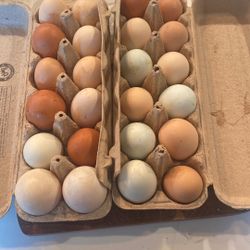 Eggs