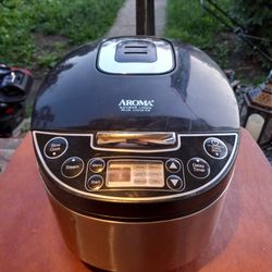 Aroma ARC-616SB Professional 12 Cup Rice Cooker, Food Steamer & Slow Cooker, Stainless Steel