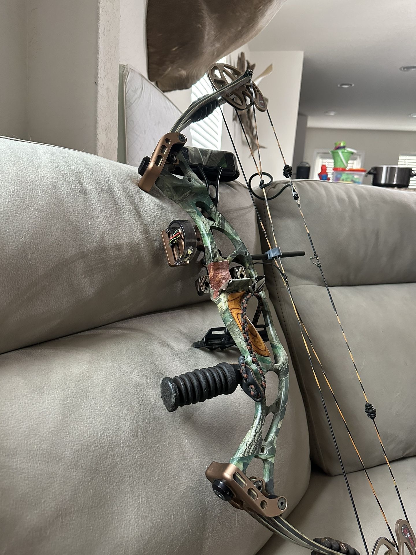 Hoyt Vipertec Bow And Case Bundle