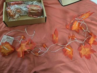 3 Pack Fall Indoor/outdoor Lights