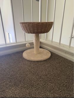 Cat bed
