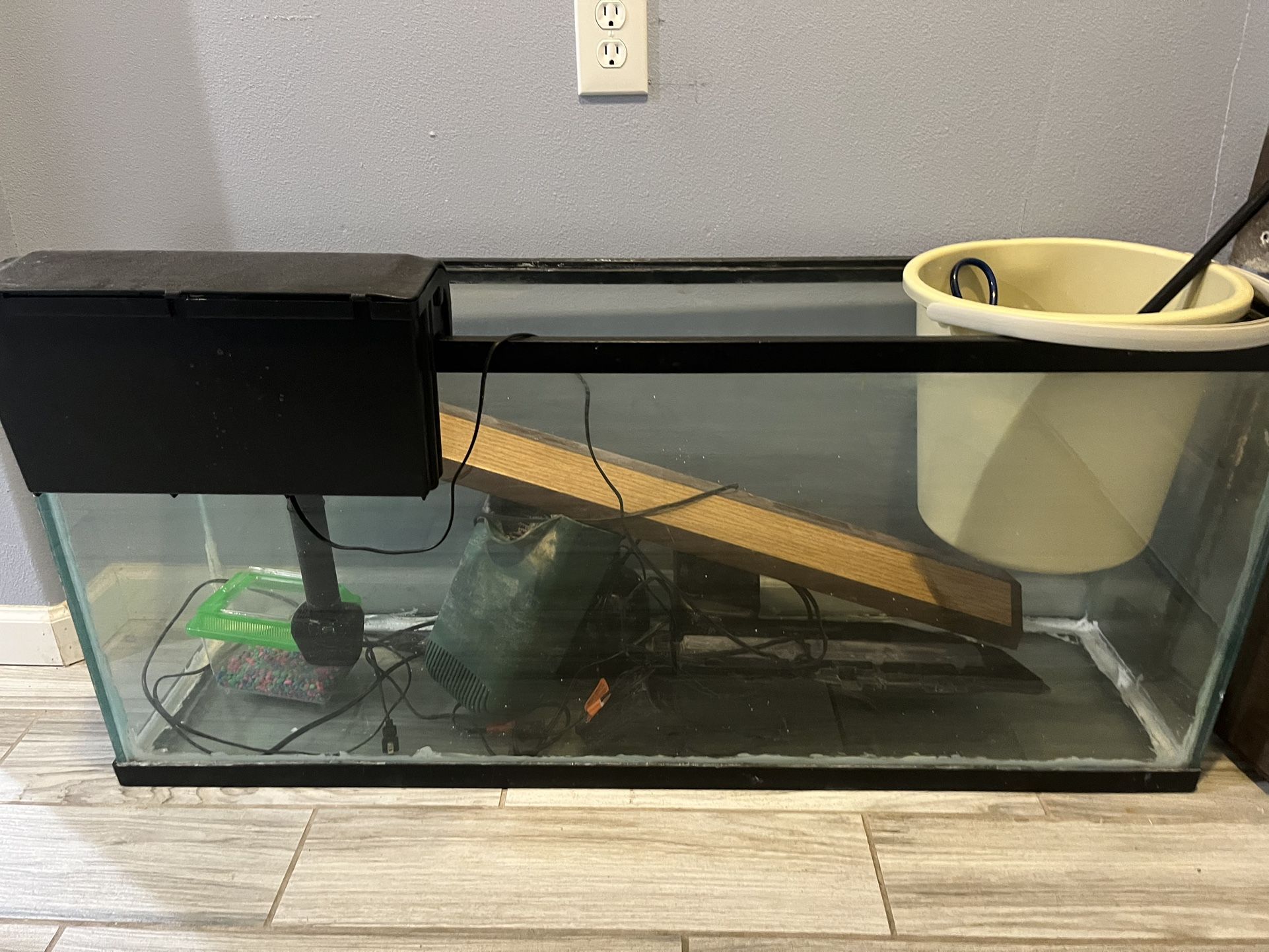 Fish Tanks 55g And 37g