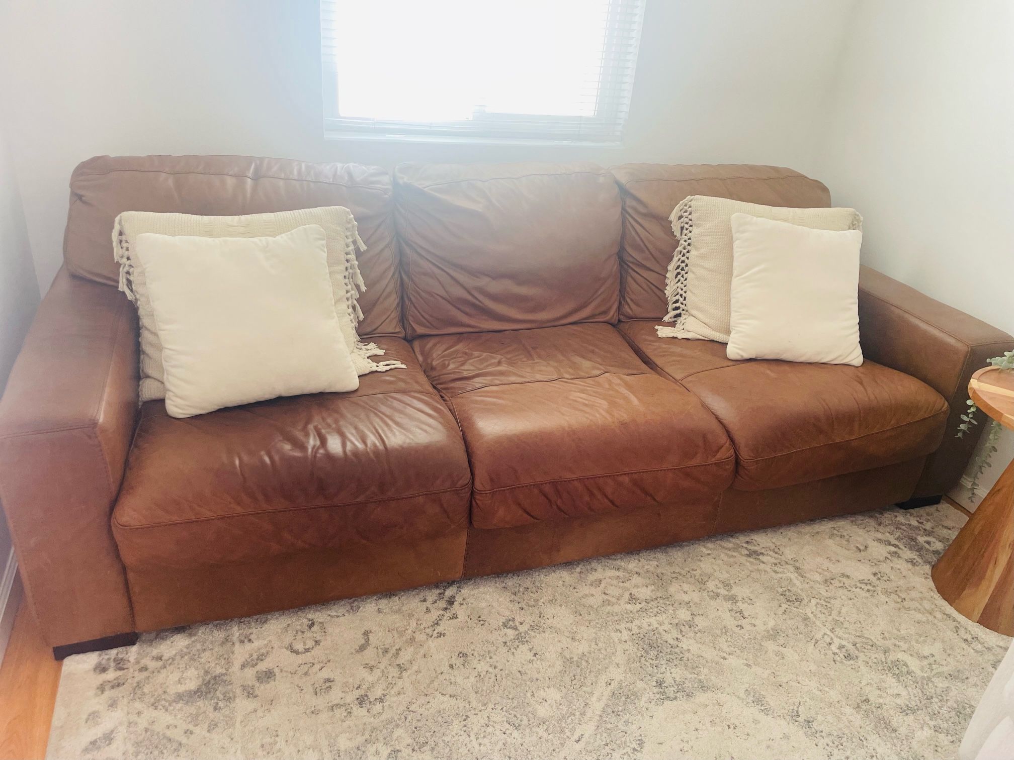 Leather Couches