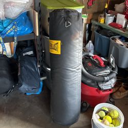 Everlast Punching Bag