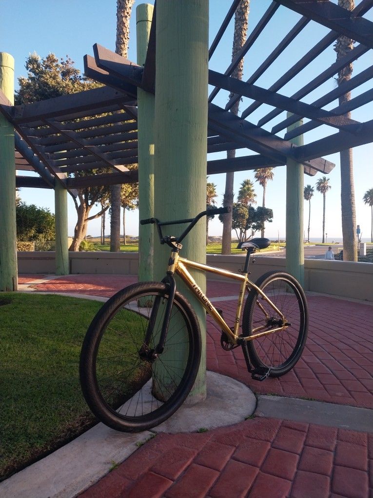 Throne 29er