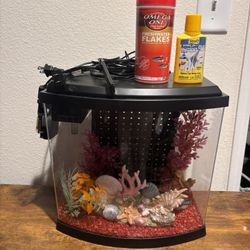 Mini Fish Tank 