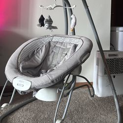 Swing/bouncer