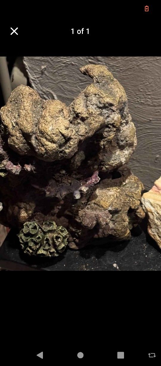 Xl Heavy Mountain Reptile Statue