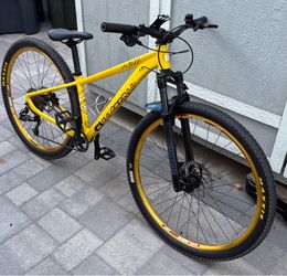 29 Mtb