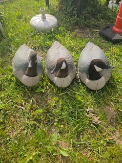 Three rubberized geese.. the price is firm