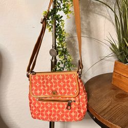 Fossil Crossbody Purse