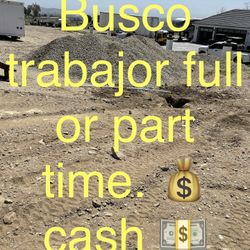 Trabajador $20 La Hora Cash 