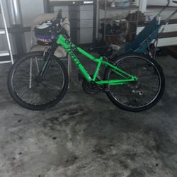 Mountain Bike
