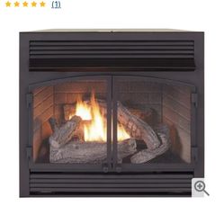 Duluth Forge Vent Free Dual Gas Wall Insert