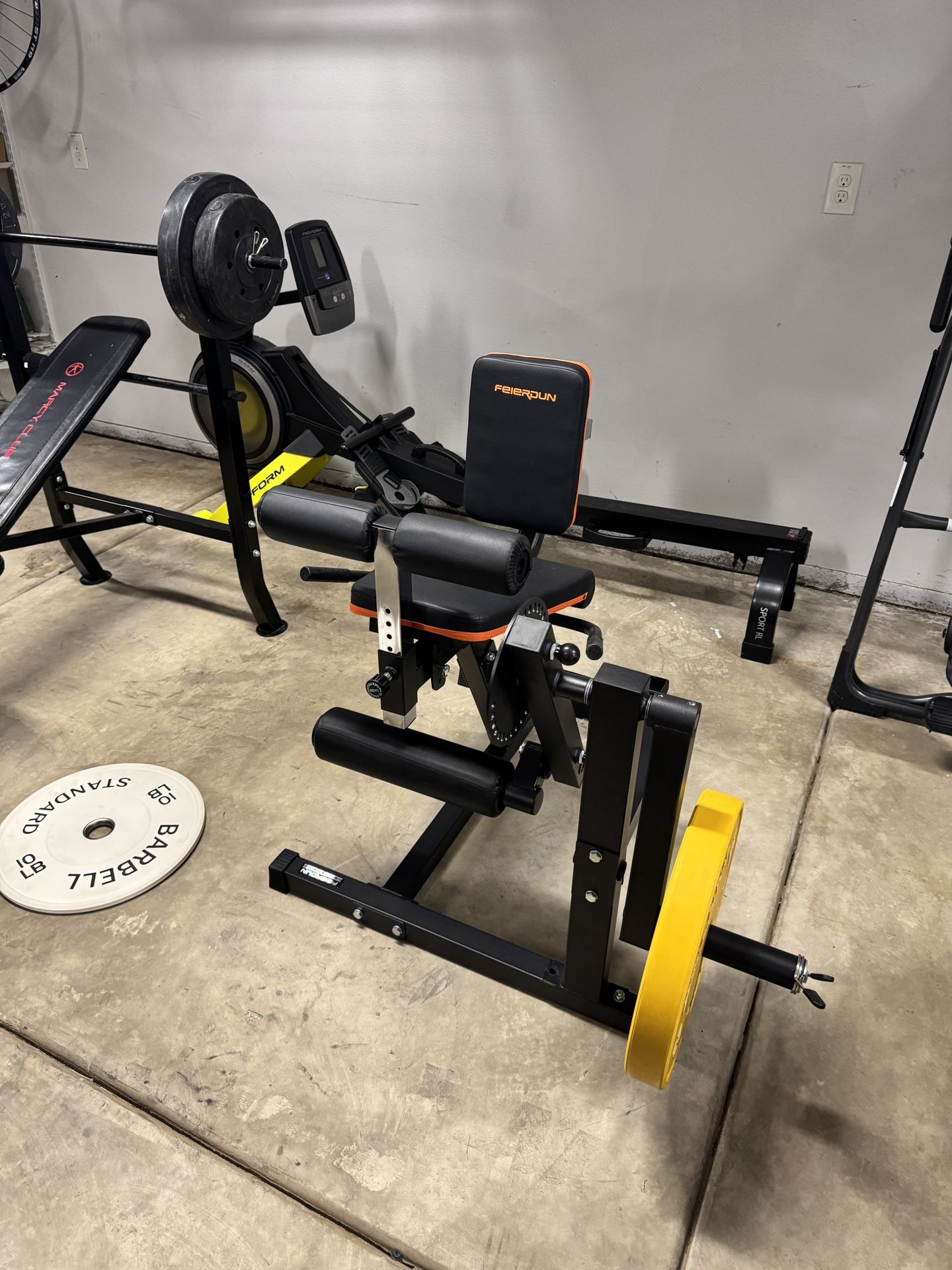 Leg Extension & Hamstring Curl