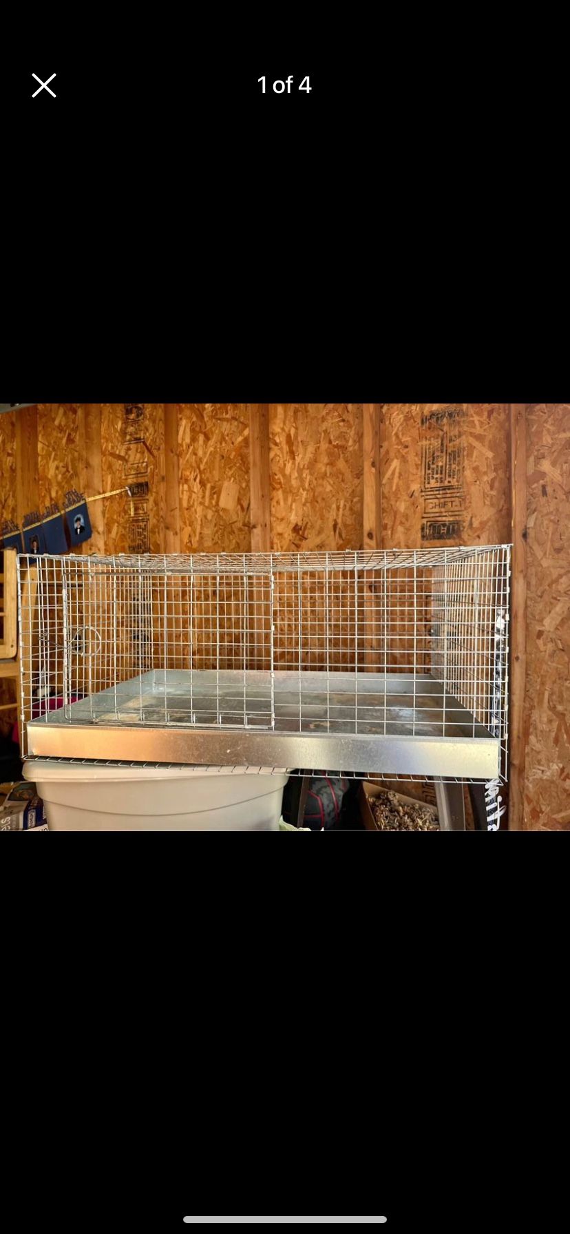 Pet Bunny, Rat, Chicks, Guinea Pig Cage