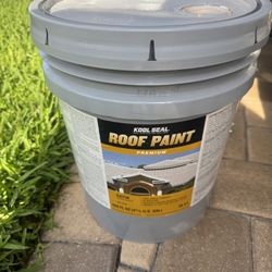 Roof Paint 