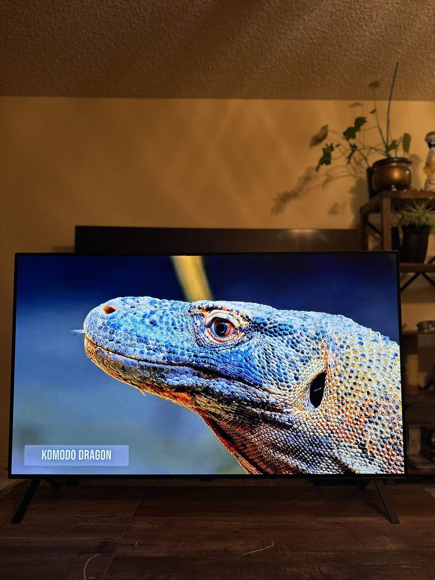 48” LG 4K OLED EVO 
