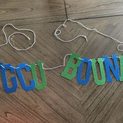 Custom FGCU Banner