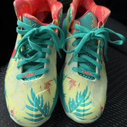 LeBron 9 Low