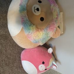 Stuffed Animals 