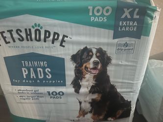 Dog Training pads xl