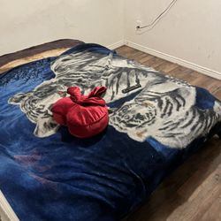 House Clean $25 🏠 🧹 