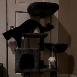 Cat tree