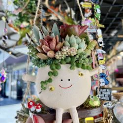 Swinging Dude Succulent Arrangement 