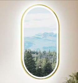 Bonie 20 in. W x 36 in. H Oval Framed LED Light and Backlit Wall Mount Bathroom Vanity Mirror in Brushed Gold