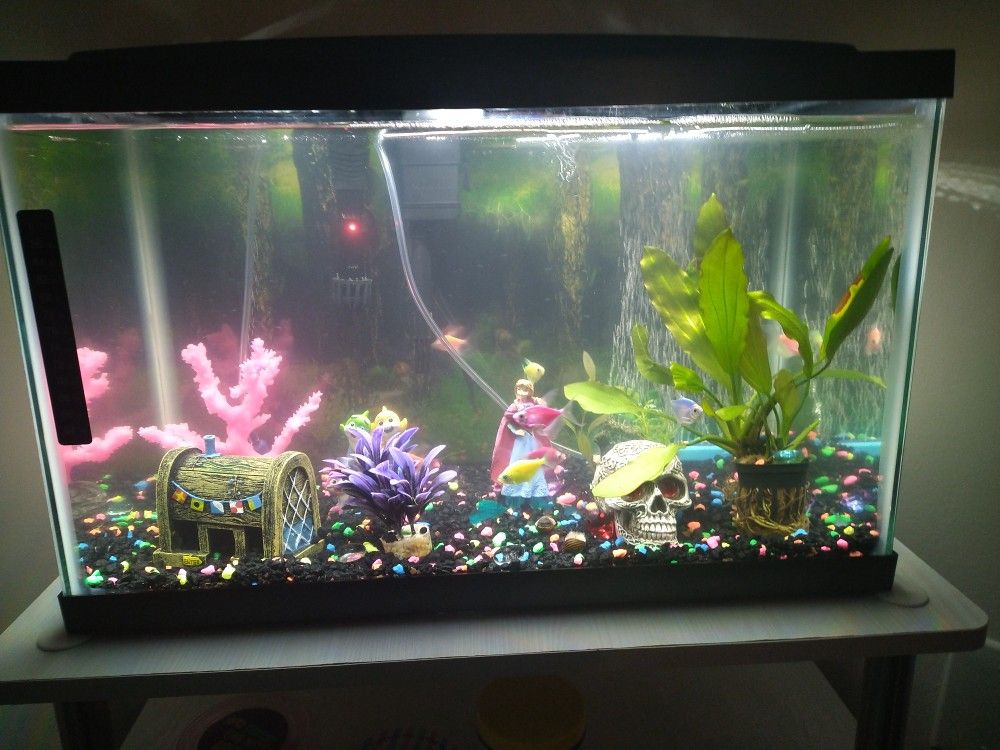 Fishtank 30 & 10 Gal. Tanks