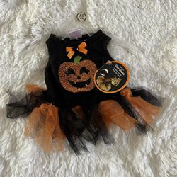 Halloween Dog Dress