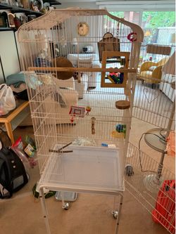 Mixed Pet & Home Accessories willing to change price