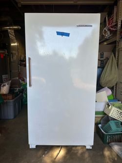 19 cubes Frigidaire with locking key  Freezer