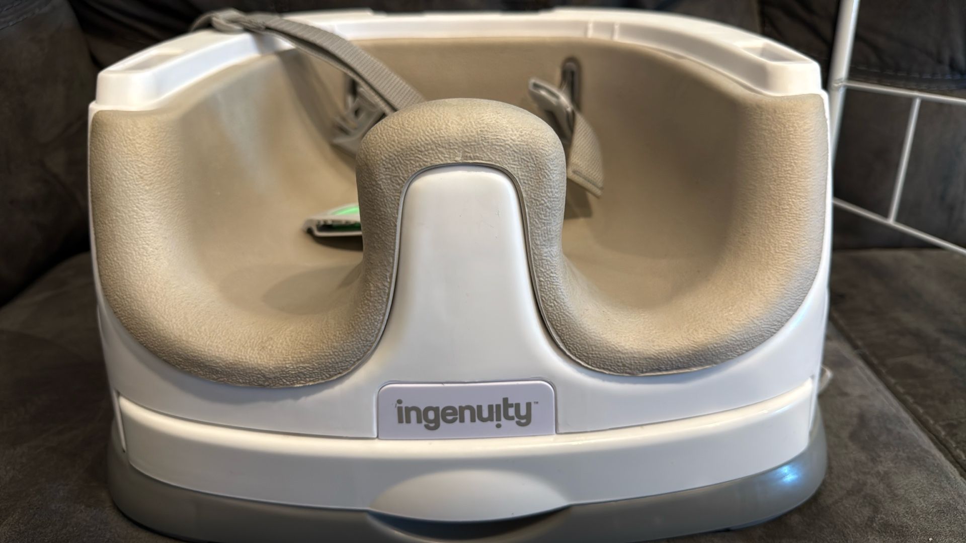 Ingenuity Booster Seat