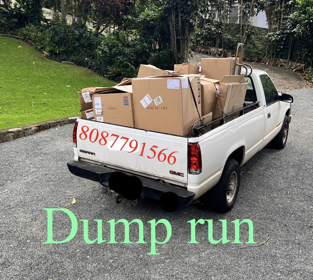 Dump Run 