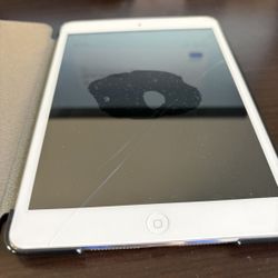 iPad Mini 2