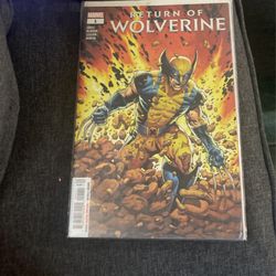 Return Of The Wolverine 